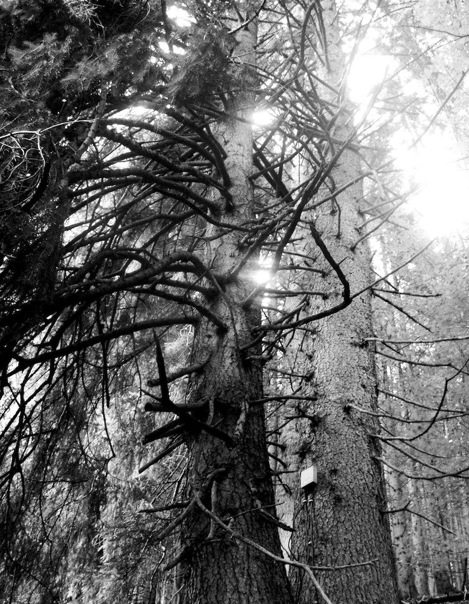 Momente in SchwarzWeiß