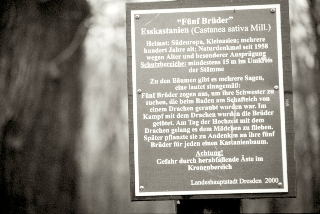 FotoArchiv – Winter in&nbsp;SchwarzWeiß