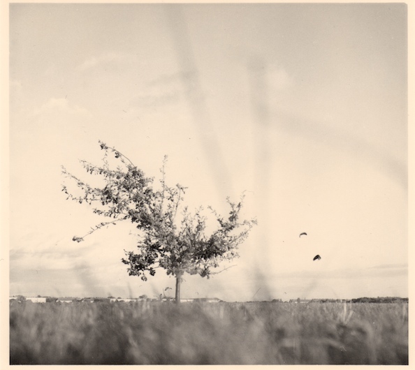 Anfänge der Fotografie