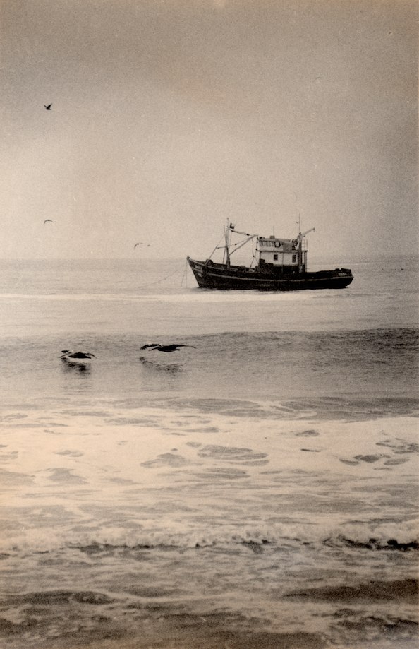 Caffenol meets Tea&nbsp;Toner