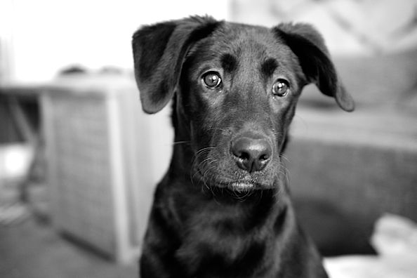 Digital meets analog or just having&nbsp;fun