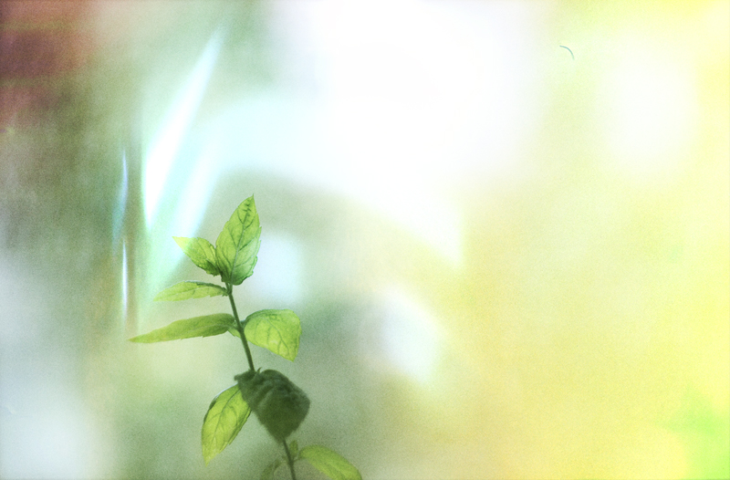 Das Spiel mit Light&nbsp;Leaks