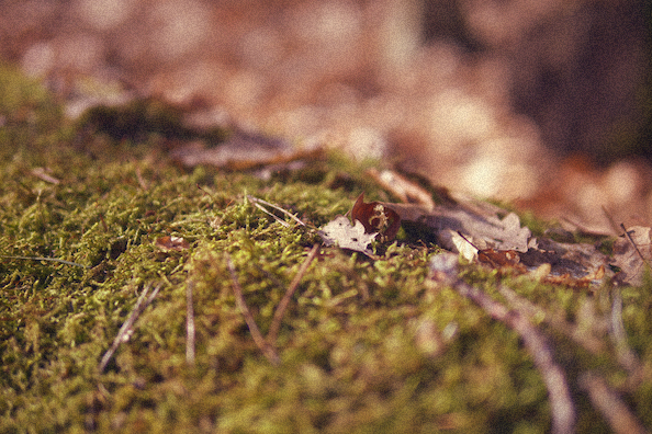 Out of the&nbsp;city