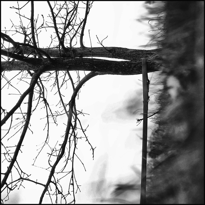 00000008 border.gespiegelt