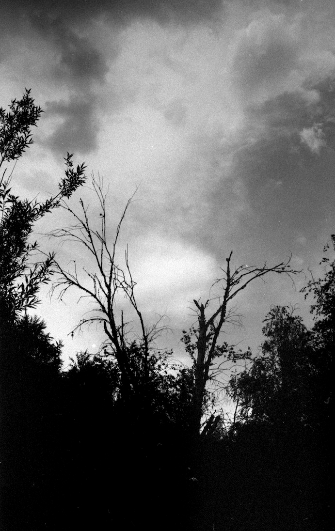 Der Himmel über&nbsp;mir