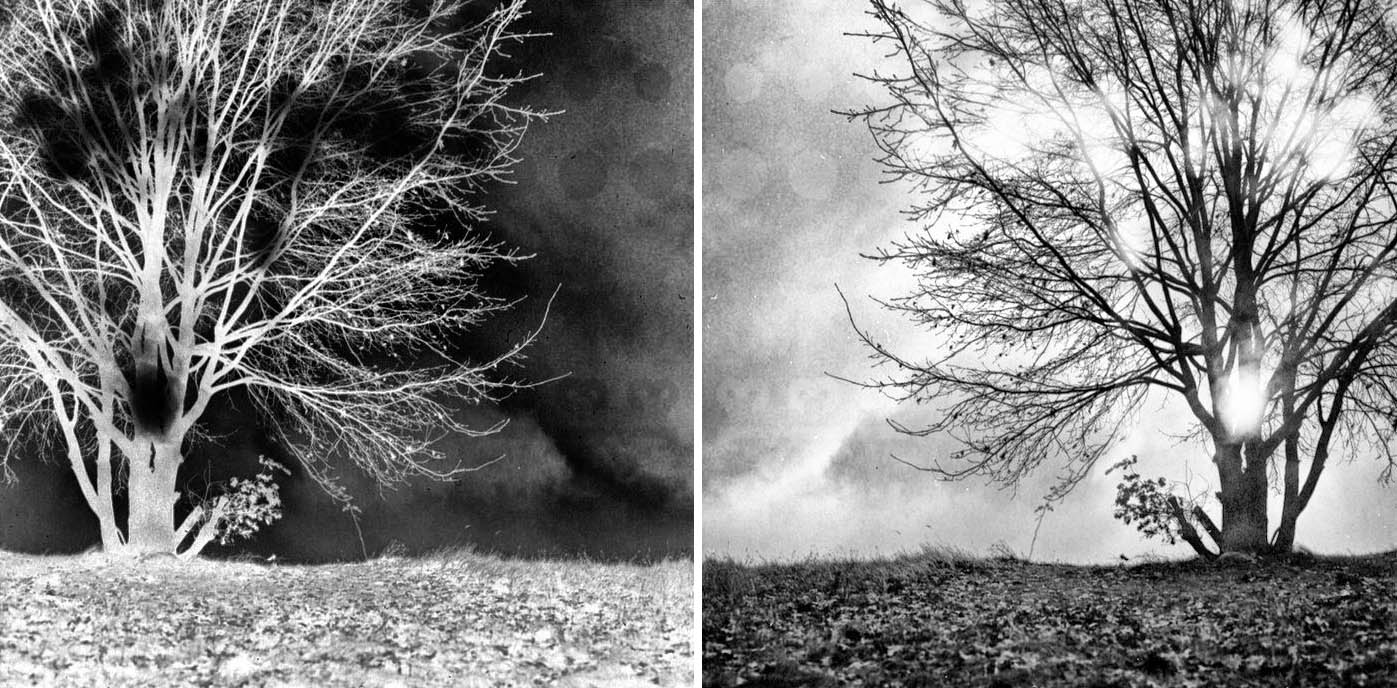 doppel_lichtbaum_invert3