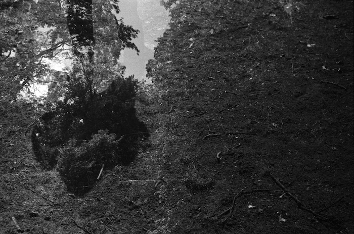 Doppelbelichtung_Schatten_Park