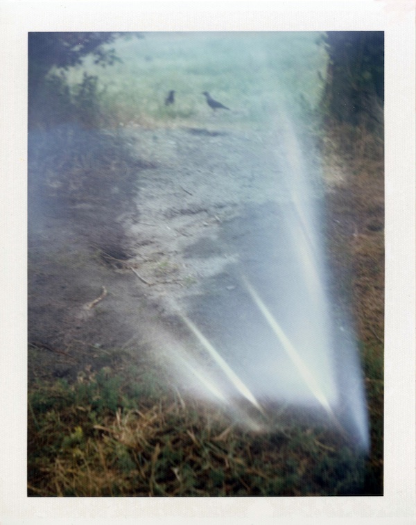 Das Spiel mit dem&nbsp;Licht