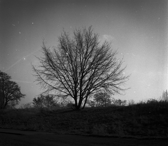 Die Suche nach&nbsp;Licht