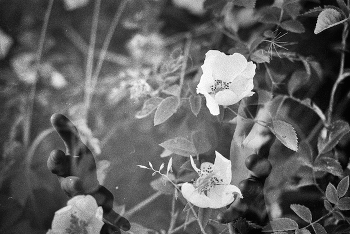 20140612-Image 8-Bearbeitet