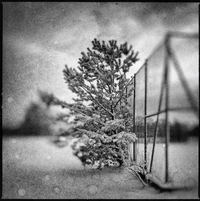 Tempelh.Park01_quadrat02_sw700b