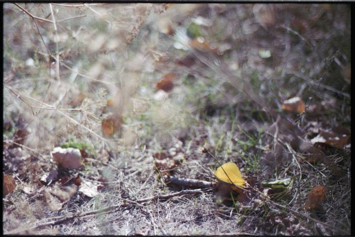 Image 14
