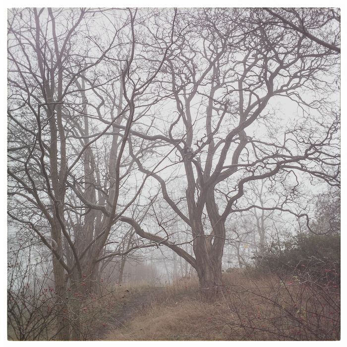 IMG_20151214_093208-2