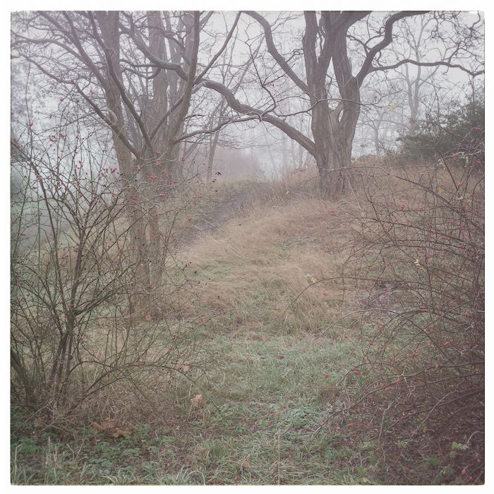 IMG_20151214_093229-2