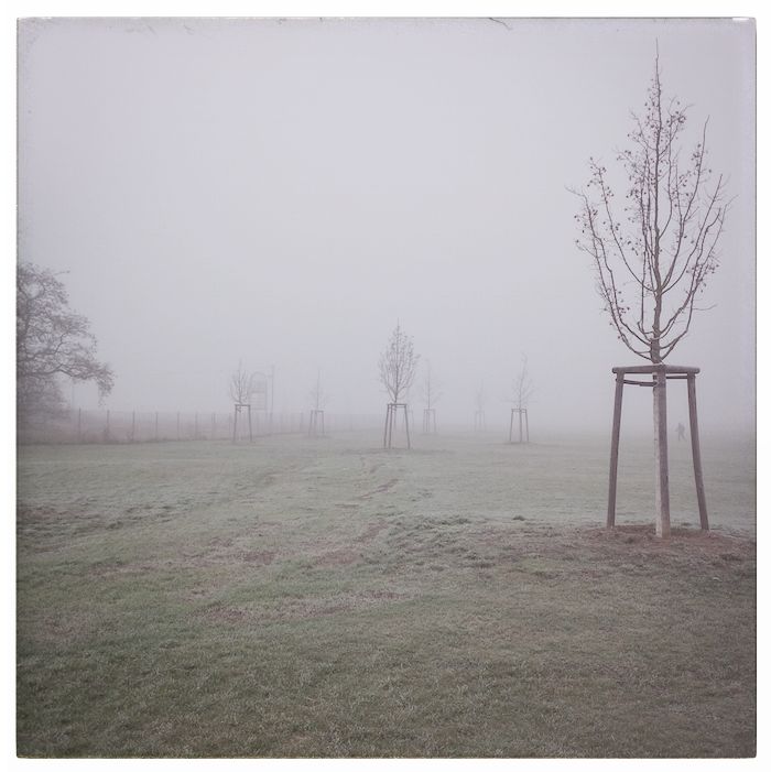 IMG_20151214_093933-2