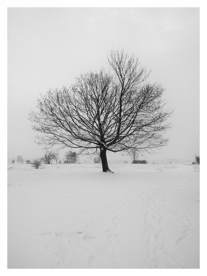 IMG_20160106_102105-Bearbeitet