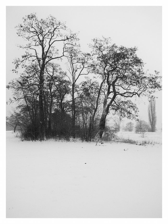 IMG_20160106_102111-Bearbeitet