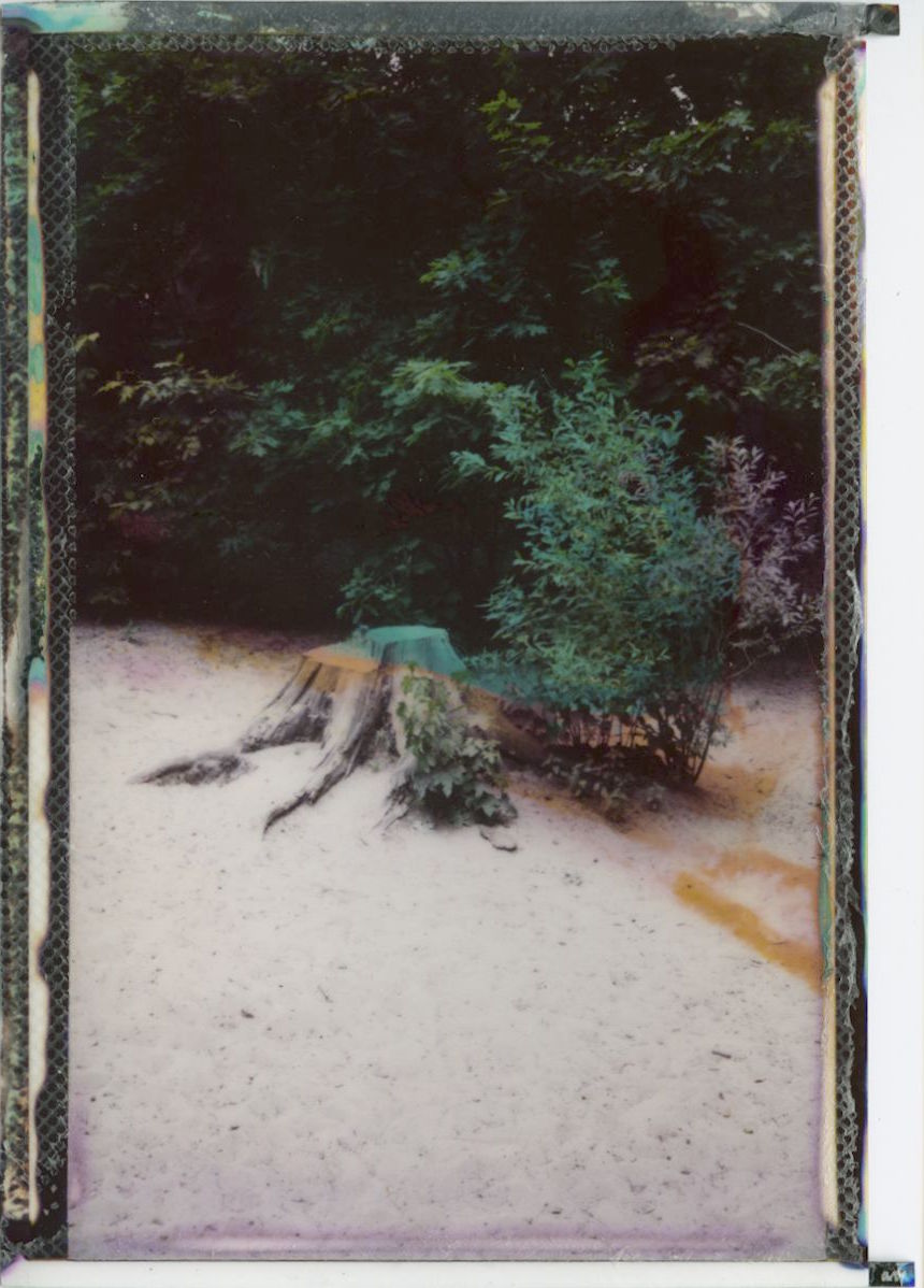 Back to the&nbsp;roots