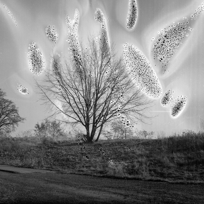 Bausteine des Lebens