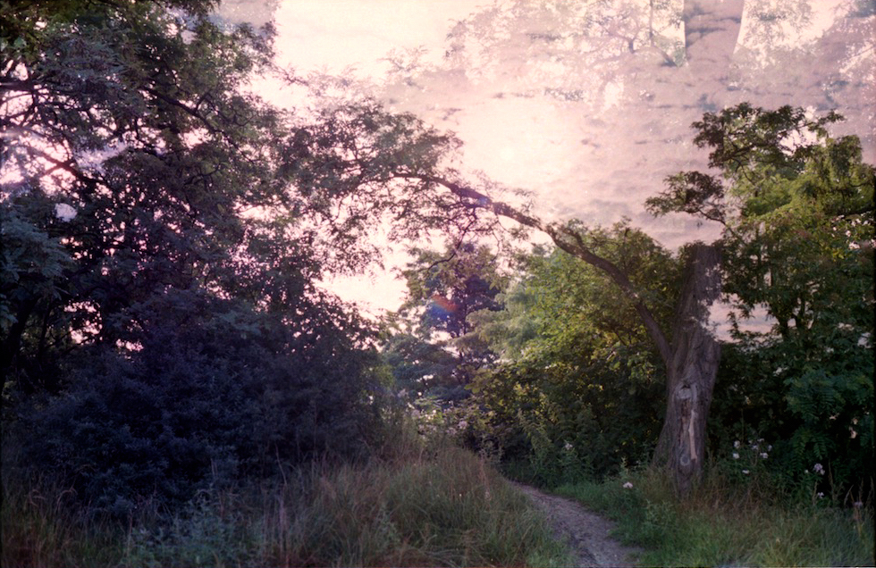 Träume verlieren und neu&nbsp;finden