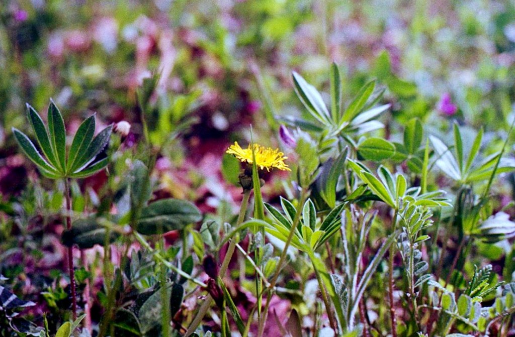 Unterwegs in der&nbsp;Natur