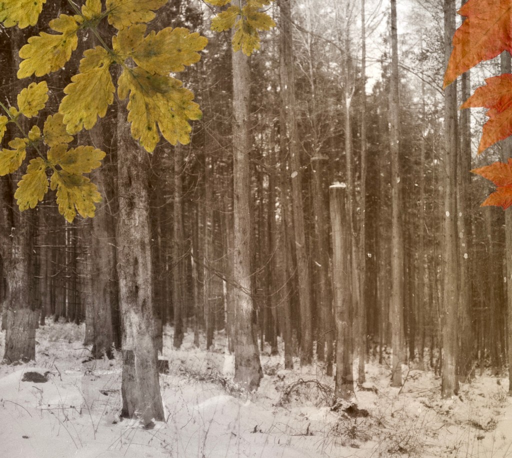 Once upon a&nbsp;time