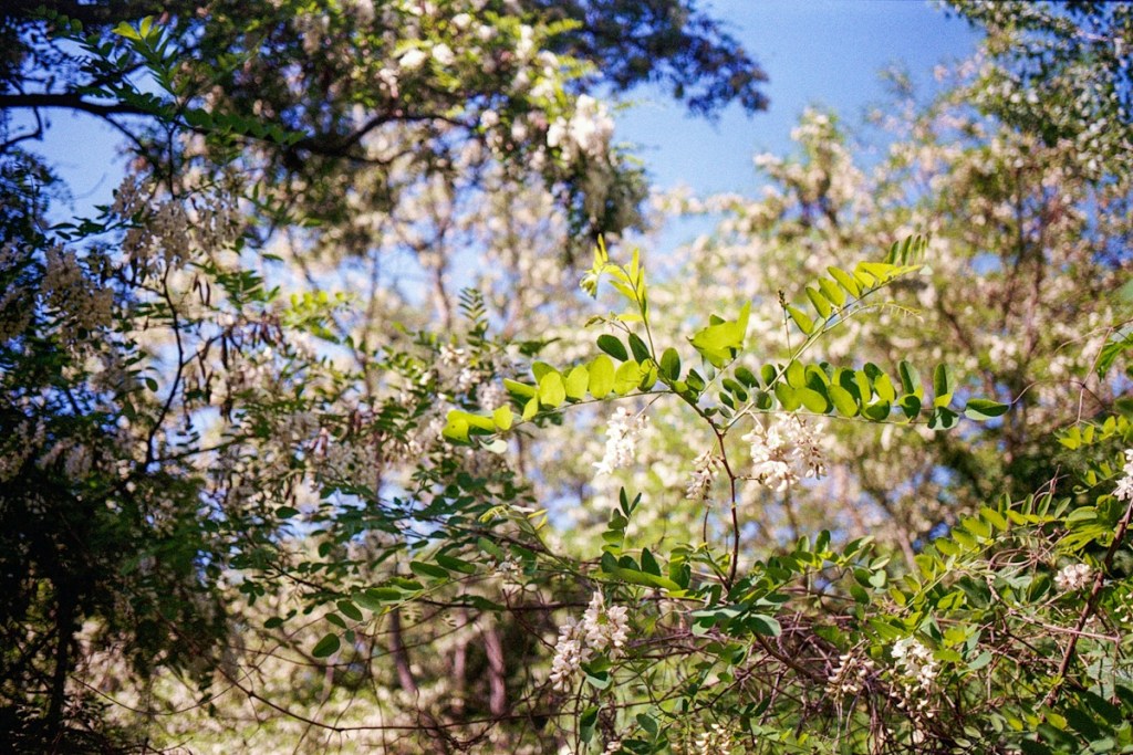 Endlich sind sie da&nbsp;…
