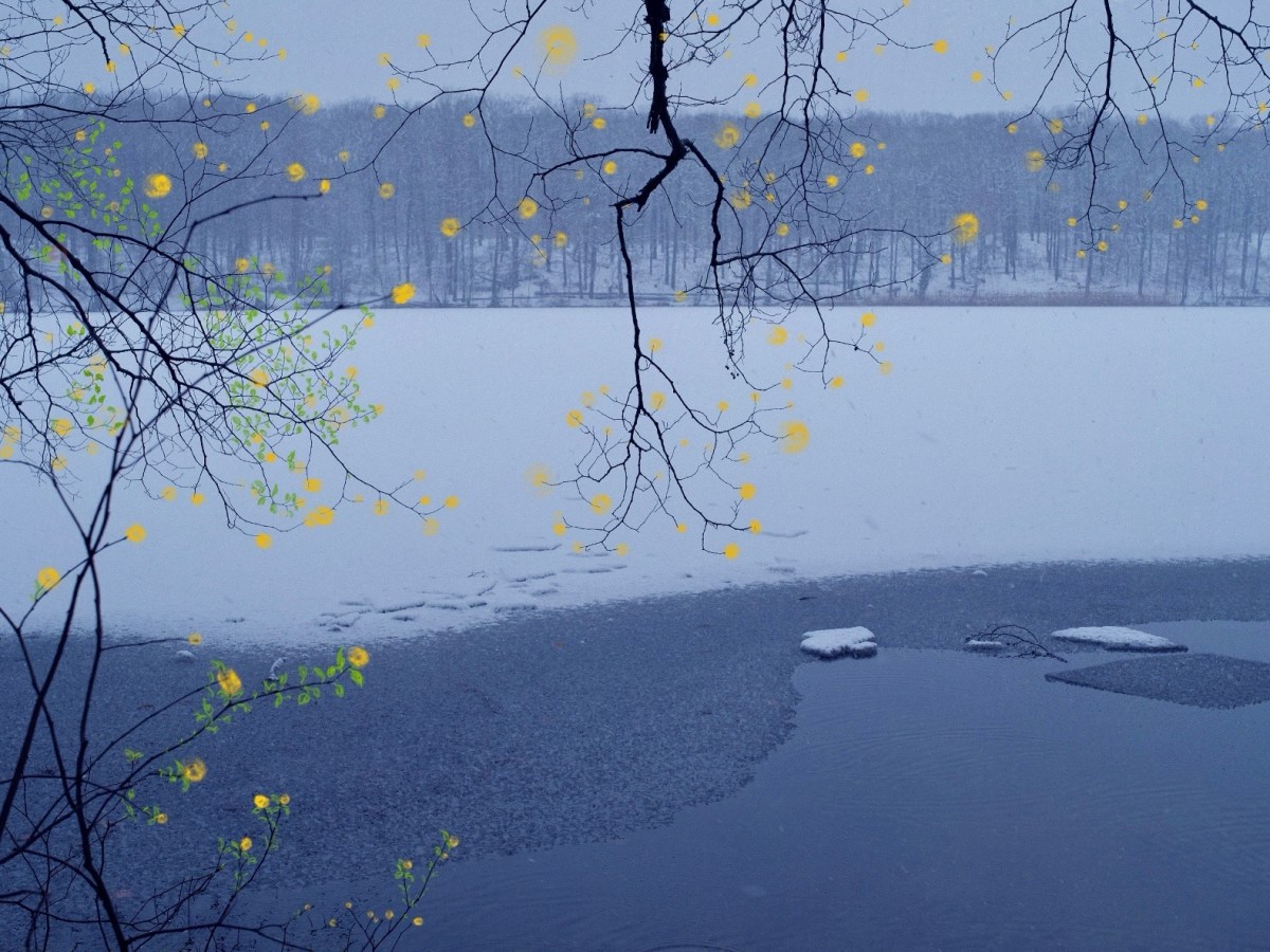 Wenn Bilder das Blaue&nbsp;suchen