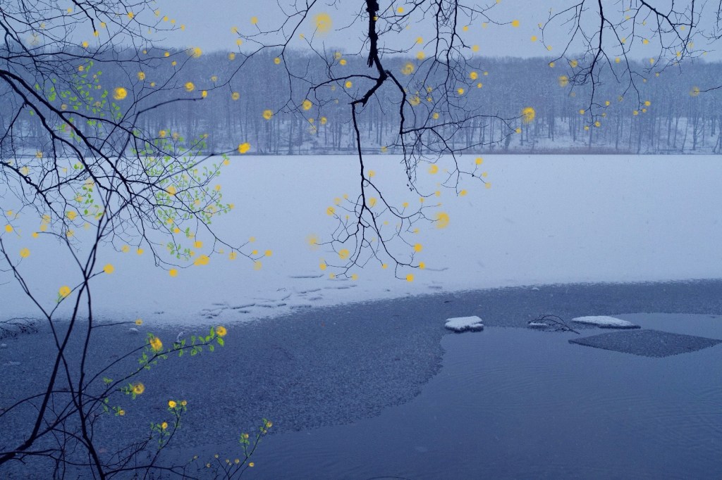 Wenn Bilder das Blaue&nbsp;suchen