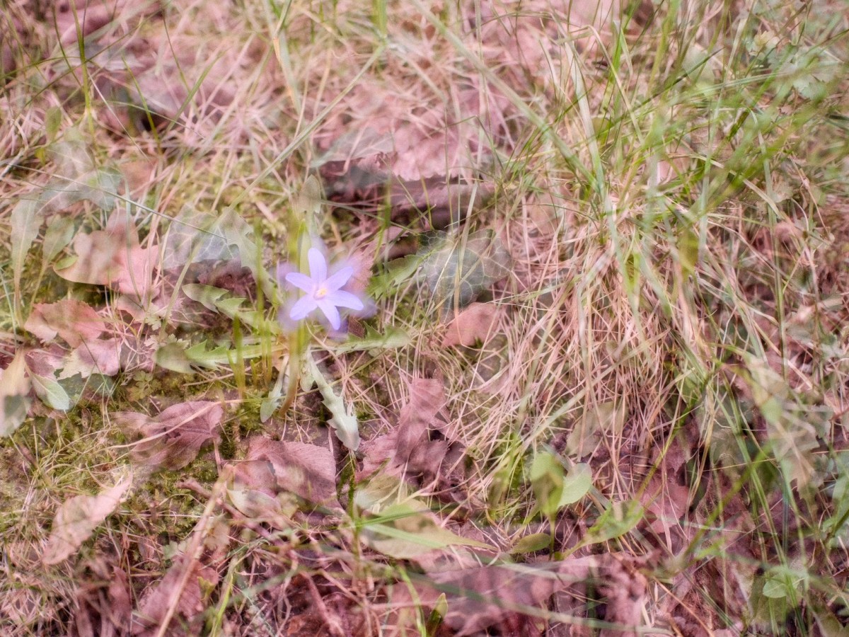 Veränderungen | Blog-Update