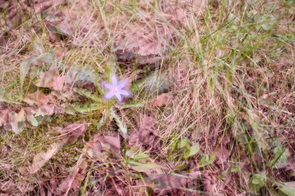 Veränderungen | Blog-Update