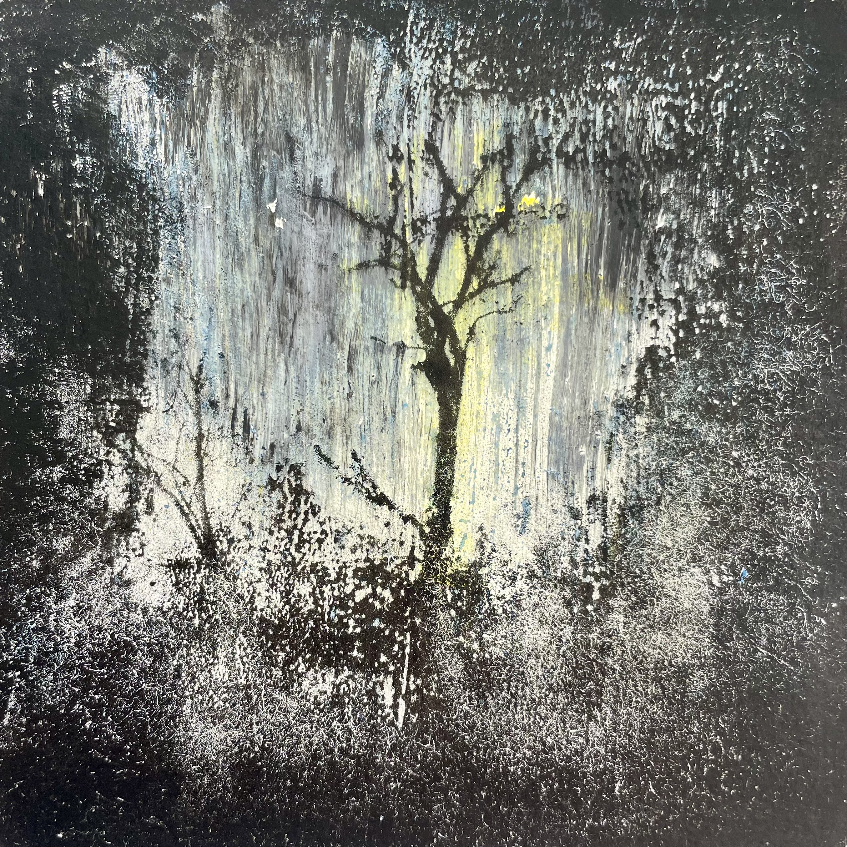 Eine künstlerische melancholische Monotypie, die mittig im Bild einen schwarzen Baum zeigt, der zart gelb erleuchtet ist und auf den es regnet. Das Bild wird zum Rand hin schwarz und erinnert an die Atmosphäre einer Lochkamera.